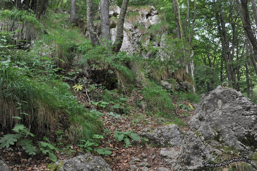 028 Periplo e vetta Monte Alben la Croce.JPG